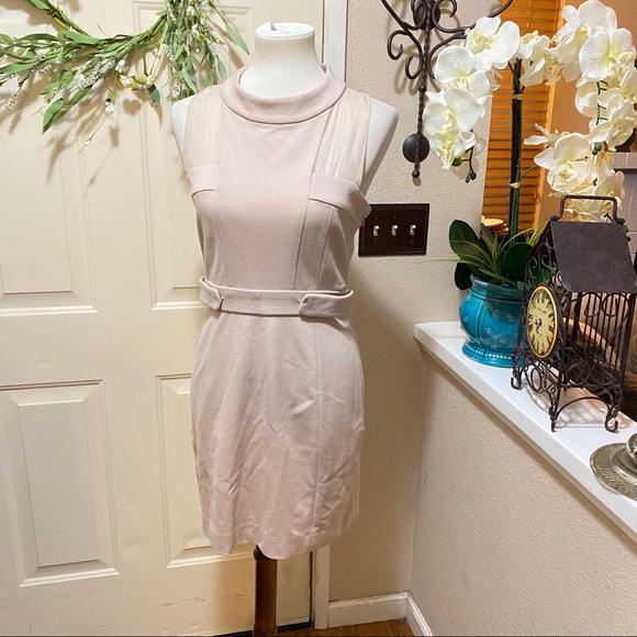 Cynthia Steffe Dresses & Skirts - Cynthia Steffe Nude HighNeck ButtonSnap Midi Dress